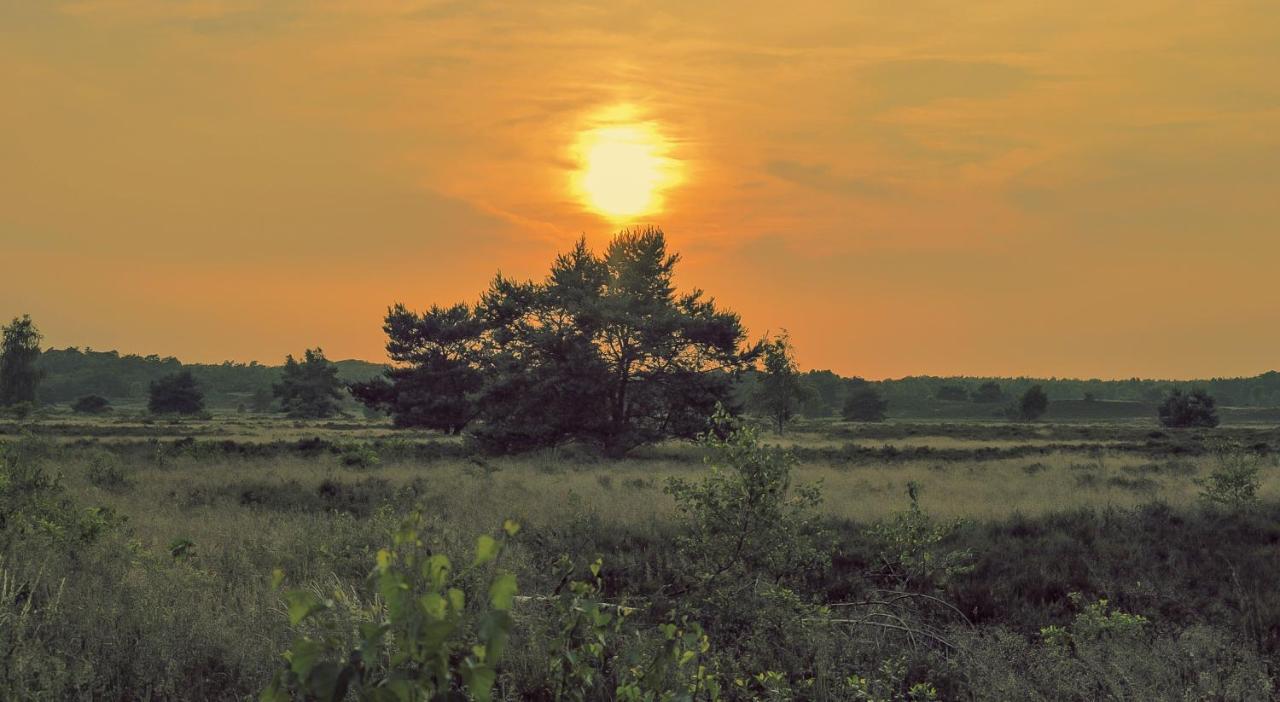 Lodge Koolmees Nunspeet Veluwe Екстер'єр фото